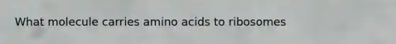 What molecule carries <a href='https://www.questionai.com/knowledge/k9gb720LCl-amino-acids' class='anchor-knowledge'>amino acids</a> to ribosomes