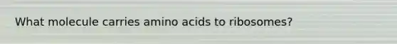 What molecule carries amino acids to ribosomes?