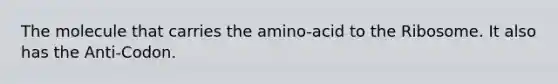 The molecule that carries the amino-acid to the Ribosome. It also has the Anti-Codon.