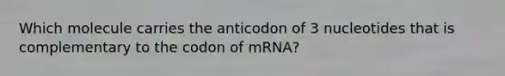 Which molecule carries the anticodon of 3 nucleotides that is complementary to the codon of mRNA?