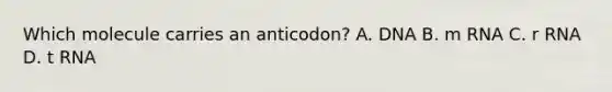 Which molecule carries an anticodon? A. DNA B. m RNA C. r RNA D. t RNA