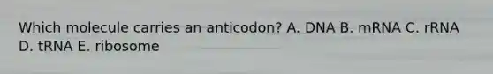 Which molecule carries an anticodon? A. DNA B. mRNA C. rRNA D. tRNA E. ribosome