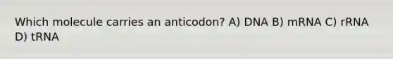 Which molecule carries an anticodon? A) DNA B) mRNA C) rRNA D) tRNA