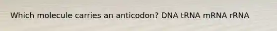 Which molecule carries an anticodon? DNA tRNA mRNA rRNA