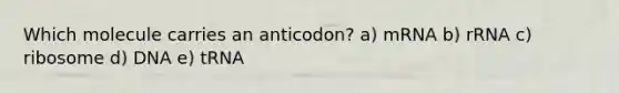 Which molecule carries an anticodon? a) mRNA b) rRNA c) ribosome d) DNA e) tRNA