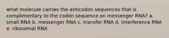 what molecule carries the anticodon sequences that is complimentary to the codon sequence on messenger RNA? a. small RNA b. messenger RNA c. transfer RNA d. interference RNA e. ribosomal RNA