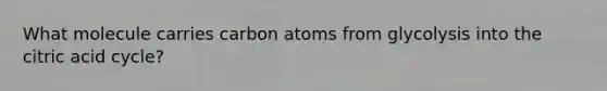 What molecule carries carbon atoms from glycolysis into the citric acid cycle?