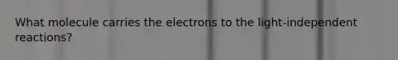 What molecule carries the electrons to the light-independent reactions?