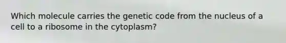 Which molecule carries the genetic code from the nucleus of a cell to a ribosome in the cytoplasm?