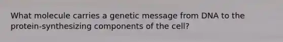 What molecule carries a genetic message from DNA to the protein-synthesizing components of the cell?