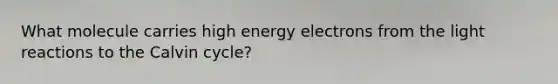 What molecule carries high energy electrons from the <a href='https://www.questionai.com/knowledge/kSUoWrrvoC-light-reactions' class='anchor-knowledge'>light reactions</a> to the Calvin cycle?