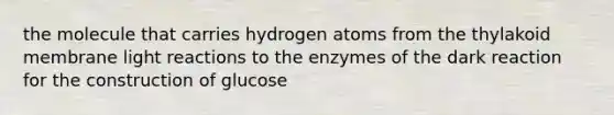 the molecule that carries hydrogen atoms from the thylakoid membrane light reactions to the enzymes of the dark reaction for the construction of glucose