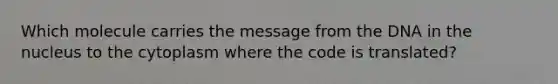 Which molecule carries the message from the DNA in the nucleus to the cytoplasm where the code is translated?