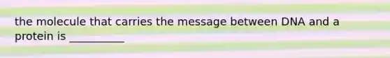 the molecule that carries the message between DNA and a protein is __________