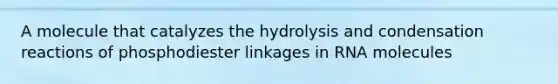 A molecule that catalyzes the hydrolysis and condensation reactions of phosphodiester linkages in RNA molecules