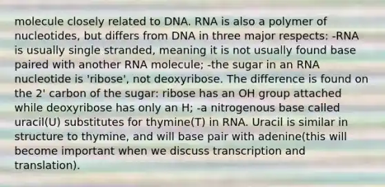 molecule closely related to DNA. RNA is also a polymer of nucleotides, but differs from DNA in three major respects: -RNA is usually single stranded, meaning it is not usually found base paired with another RNA molecule; -the sugar in an RNA nucleotide is 'ribose', not deoxyribose. The difference is found on the 2' carbon of the sugar: ribose has an OH group attached while deoxyribose has only an H; -a nitrogenous base called uracil(U) substitutes for thymine(T) in RNA. Uracil is similar in structure to thymine, and will base pair with adenine(this will become important when we discuss <a href='https://www.questionai.com/knowledge/kWsjwWywkN-transcription-and-translation' class='anchor-knowledge'>transcription and translation</a>).