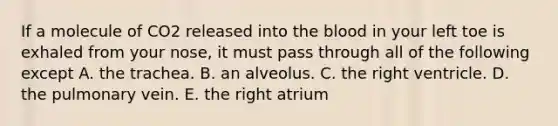 If a molecule of CO2 released into the blood in your left toe is exhaled from your nose, it must pass through all of the following except A. the trachea. B. an alveolus. C. the right ventricle. D. the pulmonary vein. E. the right atrium