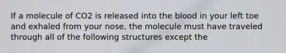 If a molecule of CO2 is released into <a href='https://www.questionai.com/knowledge/k7oXMfj7lk-the-blood' class='anchor-knowledge'>the blood</a> in your left toe and exhaled from your nose, the molecule must have traveled through all of the following structures except the