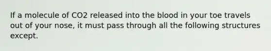 If a molecule of CO2 released into the blood in your toe travels out of your nose, it must pass through all the following structures except.