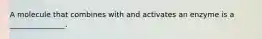 A molecule that combines with and activates an enzyme is a _______________.