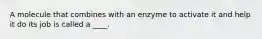A molecule that combines with an enzyme to activate it and help it do its job is called a ____.