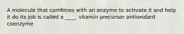 A molecule that combines with an enzyme to activate it and help it do its job is called a ____. vitamin precursor antioxidant coenzyme