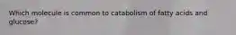 Which molecule is common to catabolism of fatty acids and glucose?