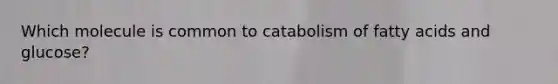 Which molecule is common to catabolism of fatty acids and glucose?