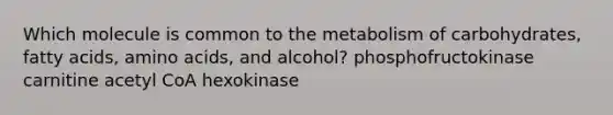 Which molecule is common to the metabolism of carbohydrates, fatty acids, amino acids, and alcohol? phosphofructokinase carnitine acetyl CoA hexokinase