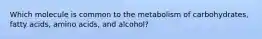 Which molecule is common to the metabolism of carbohydrates, fatty acids, amino acids, and alcohol?