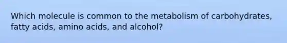 Which molecule is common to the metabolism of carbohydrates, fatty acids, amino acids, and alcohol?