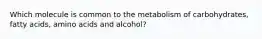 Which molecule is common to the metabolism of carbohydrates, fatty acids, amino acids and alcohol?