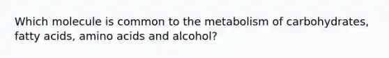 Which molecule is common to the metabolism of carbohydrates, fatty acids, amino acids and alcohol?