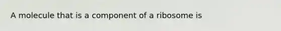 A molecule that is a component of a ribosome is