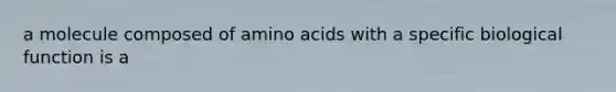 a molecule composed of amino acids with a specific biological function is a