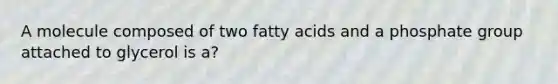 A molecule composed of two fatty acids and a phosphate group attached to glycerol is a?