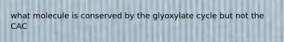 what molecule is conserved by the glyoxylate cycle but not the CAC