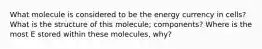 What molecule is considered to be the energy currency in cells? What is the structure of this molecule; components? Where is the most E stored within these molecules, why?