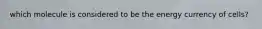 which molecule is considered to be the energy currency of cells?