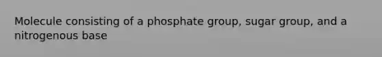 Molecule consisting of a phosphate group, sugar group, and a nitrogenous base