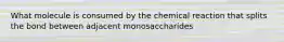 What molecule is consumed by the chemical reaction that splits the bond between adjacent monosaccharides