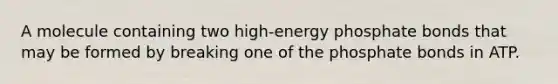 A molecule containing two high-energy phosphate bonds that may be formed by breaking one of the phosphate bonds in ATP.