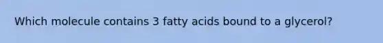 Which molecule contains 3 fatty acids bound to a glycerol?