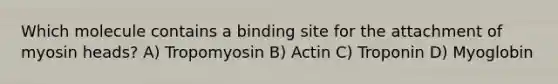 Which molecule contains a binding site for the attachment of myosin heads? A) Tropomyosin B) Actin C) Troponin D) Myoglobin