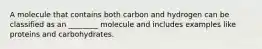 A molecule that contains both carbon and hydrogen can be classified as an ________ molecule and includes examples like proteins and carbohydrates.