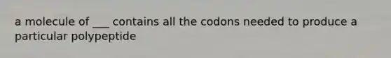 a molecule of ___ contains all the codons needed to produce a particular polypeptide