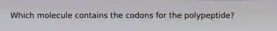 Which molecule contains the codons for the polypeptide?