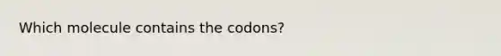 Which molecule contains the codons?