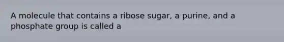 A molecule that contains a ribose sugar, a purine, and a phosphate group is called a