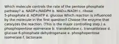 Which molecule controls the rate of the pentose phosphate pathway? a. NADP+/NADPH b. NAD+/NADH c. ribose 5‑phosphate d. ADP/ATP e. glucose Which reaction is influenced by the molecule in the first question? Choose the enzyme that catalyzes the reaction. (This is the major controlling step.) a. phosphopentose epimerase b. transketolase c. transaldolase d. glucose 6‑phosphate dehydrogenase e. phosphopentose isomerase f. lactonase